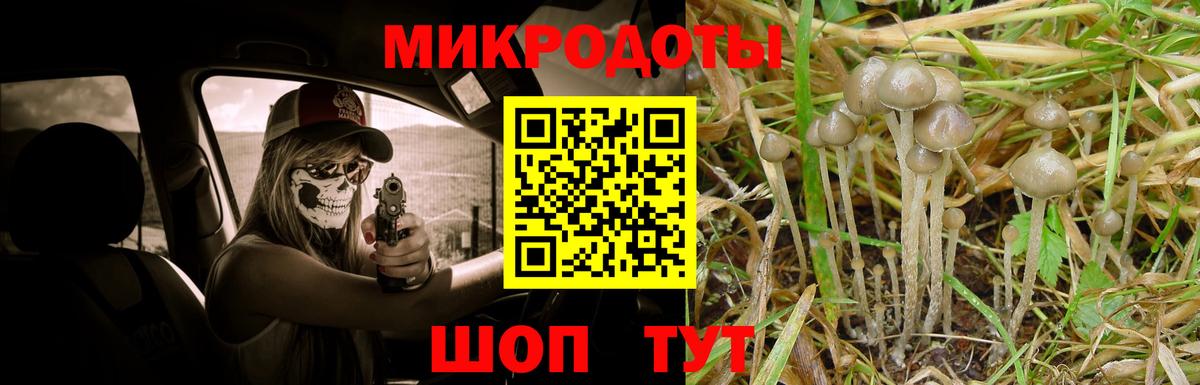 Дубна  Галлюциногенные грибы Cubensis  Вход с VPN 