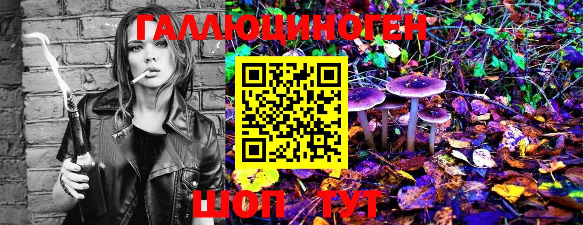 Галлюциногенные грибы Psilocybe Дубна